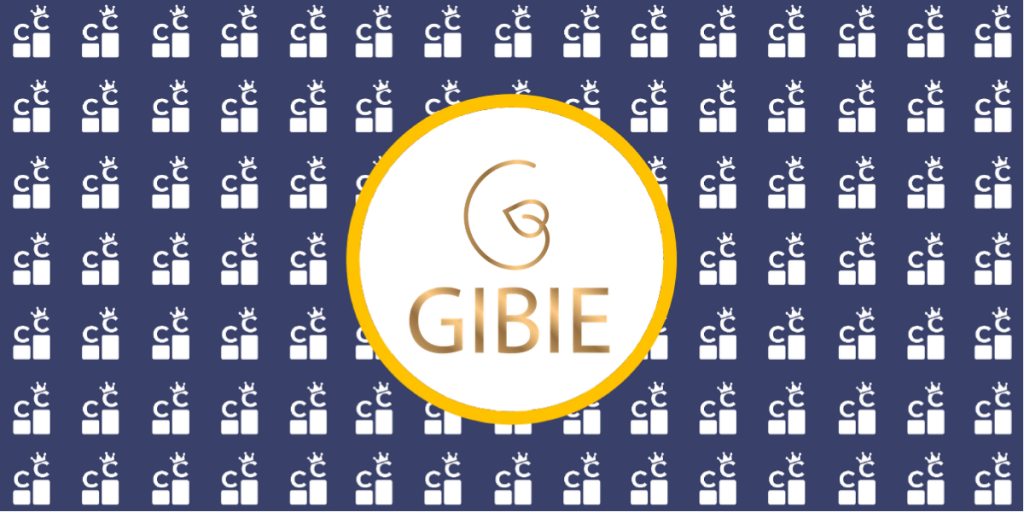 GIBIE blog banner